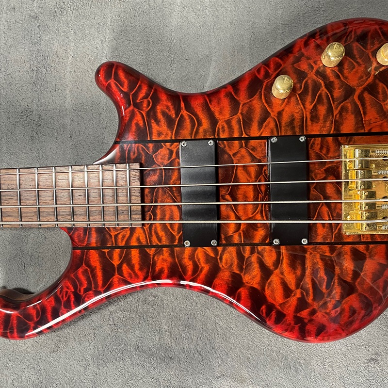 Freedom Custom Guitar Research Dulake 4stの画像